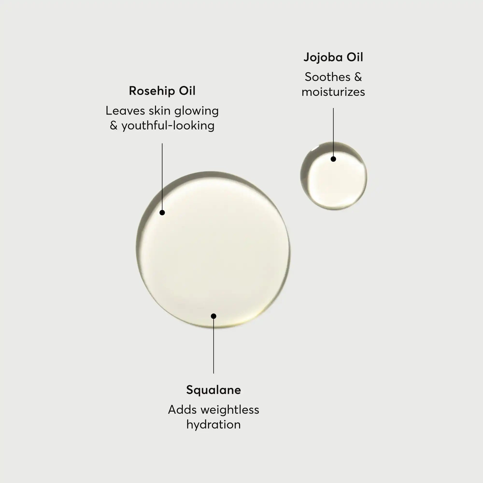 the-glow-getter-body-oil-a8 NATR-10115-Alt-Images-The-Glow-Getter-Body-Oil-01.webp