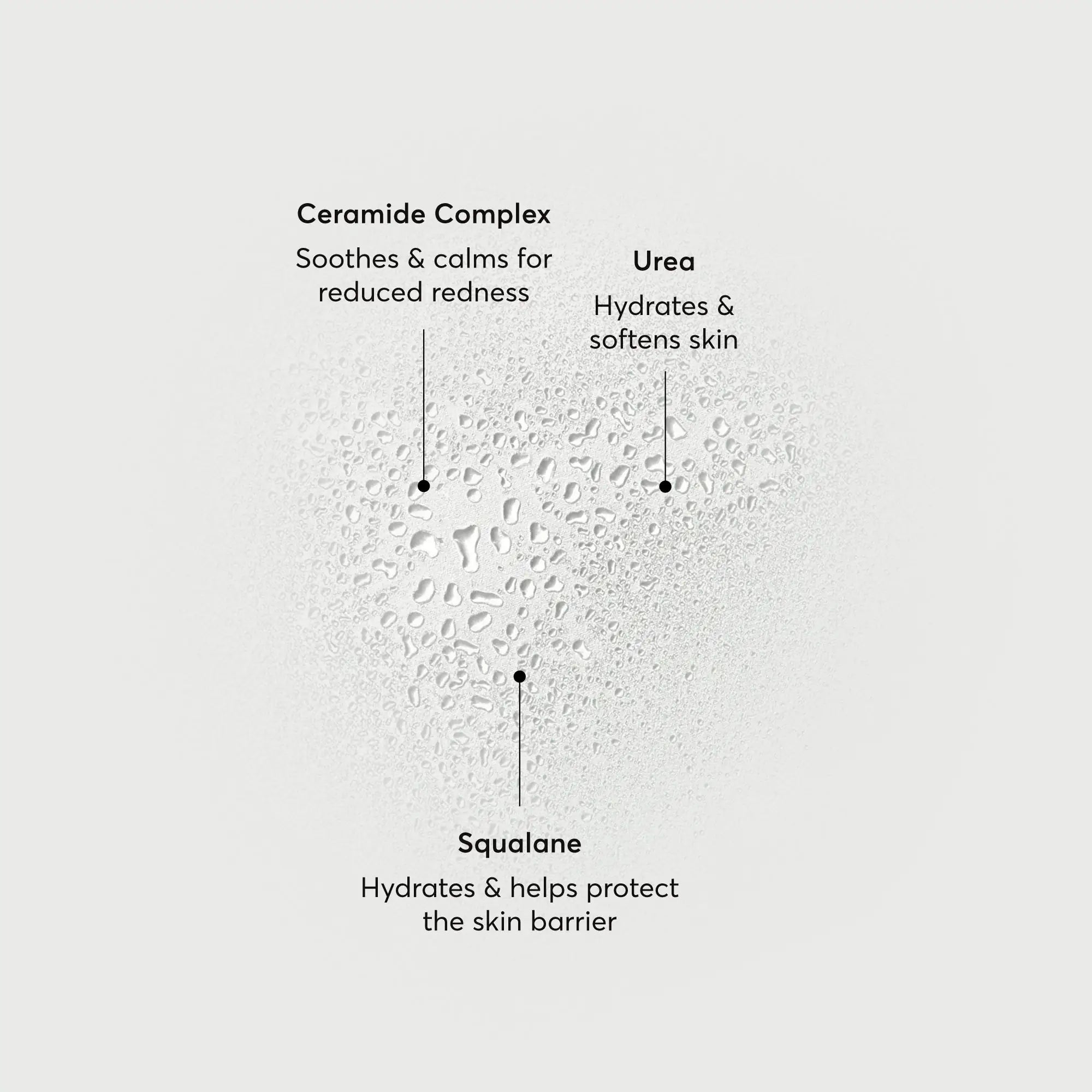 barrier-bounce-bi-phase-mist-y6 NATR-10167-Alt-Images-Barrier-Bounce-Bi-Phase-Toner-Mist_01.webp
