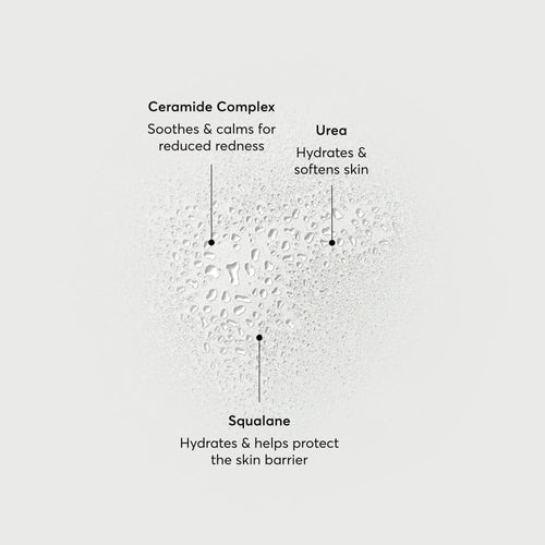 barrier-bounce-bi-phase-mist-y6 NATR-10167-Alt-Images-Barrier-Bounce-Bi-Phase-Toner-Mist_01.webp